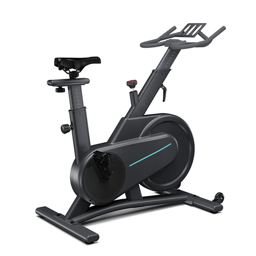 Bicicleta spinning MSP2010S