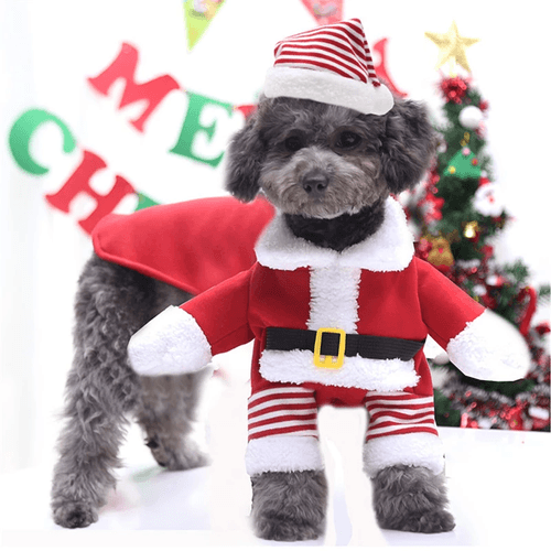 Ropa de mascota talla S