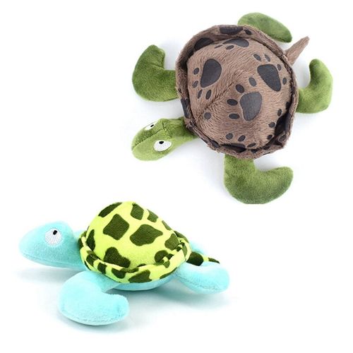 Juguete tortuga para mascota