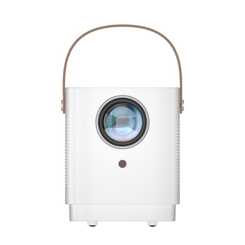 PROYECTOR RD-853
