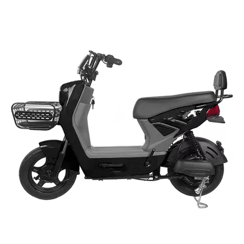 Motocicleta Eléctrica 800W LDLX