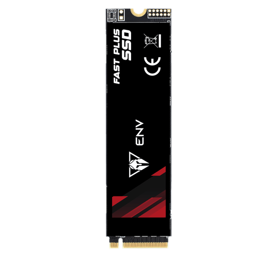 SSD ENV 256Gb NVME GEN3.0*4
